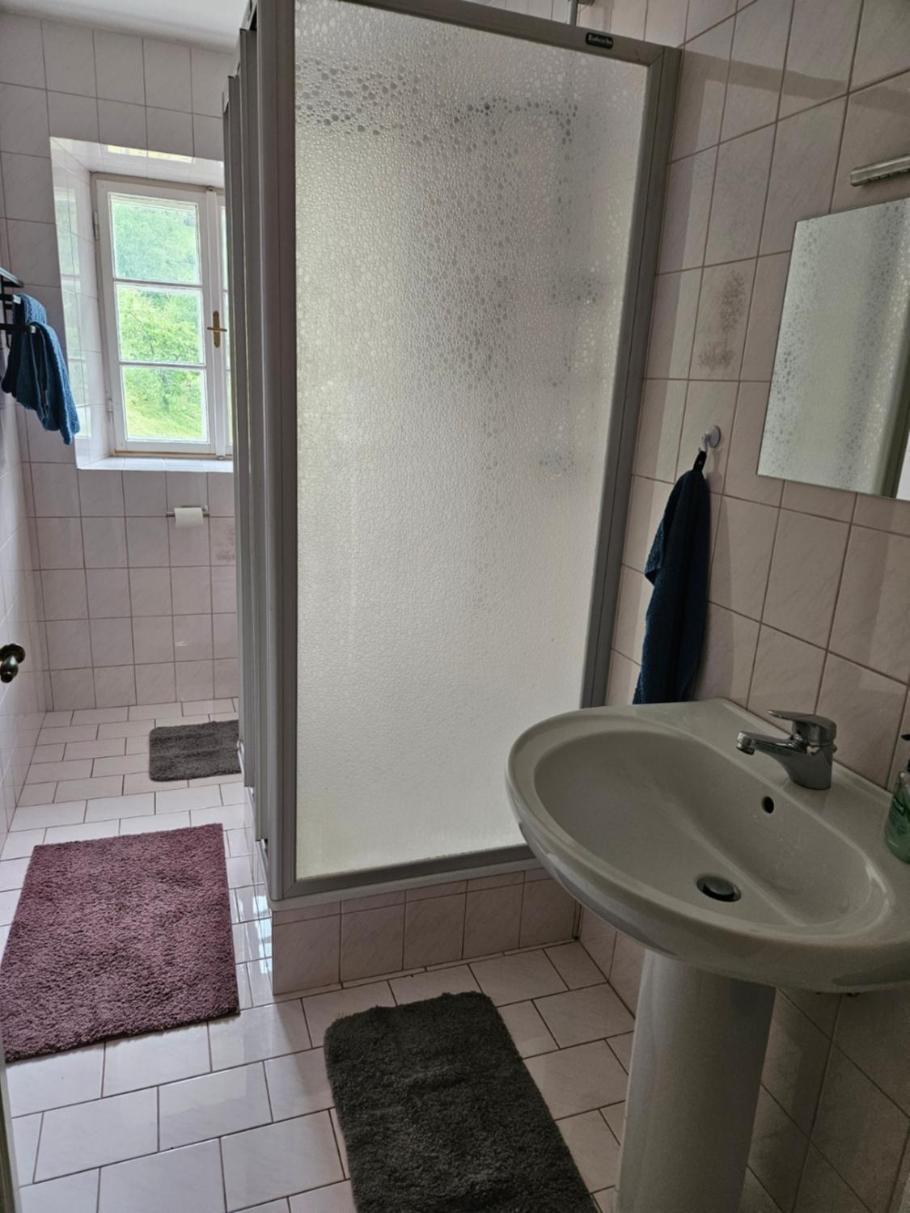 Reichraming Wohnung Im Nationalpark Kalkalpen 3 מראה חיצוני תמונה