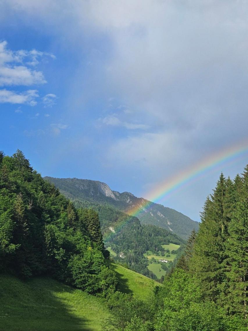 Reichraming Wohnung Im Nationalpark Kalkalpen 3 מראה חיצוני תמונה
